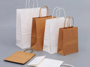 Paper Bags with Twisted Handles
