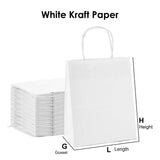 Paper Bags with Twisted Handles