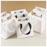 Premium Paper Bags